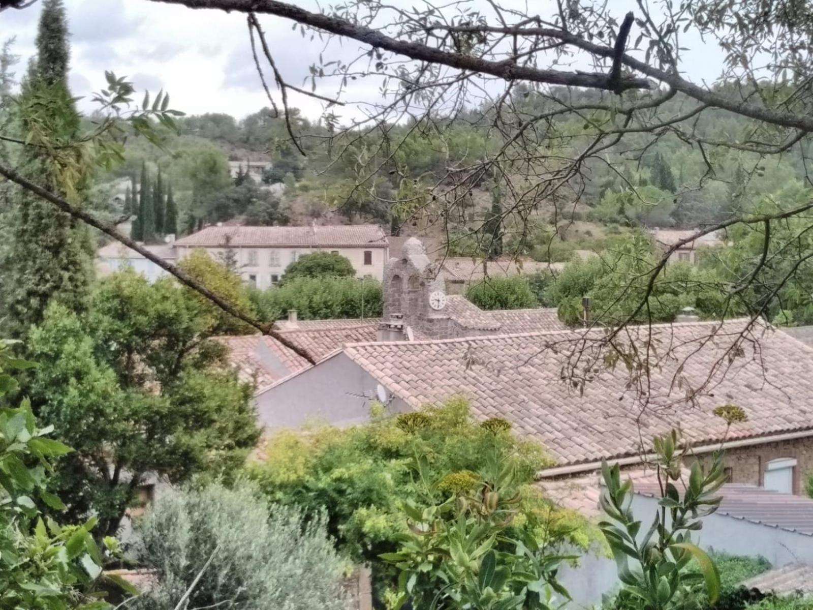 Chambre D'Hote Au Jardin Le Clos Des Vins D'Anges Saint-Pierre-des-Champs Bilik gambar